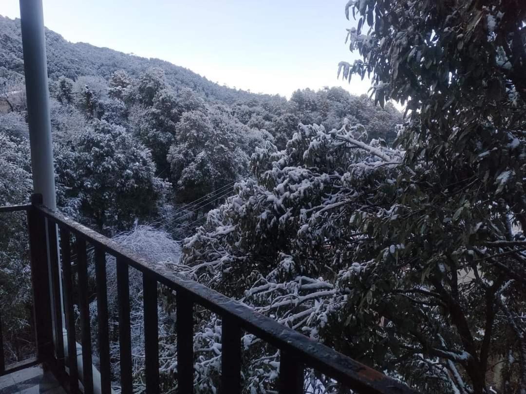 Oak Wood Homestay Banikhet Dalhousie Eksteriør bilde